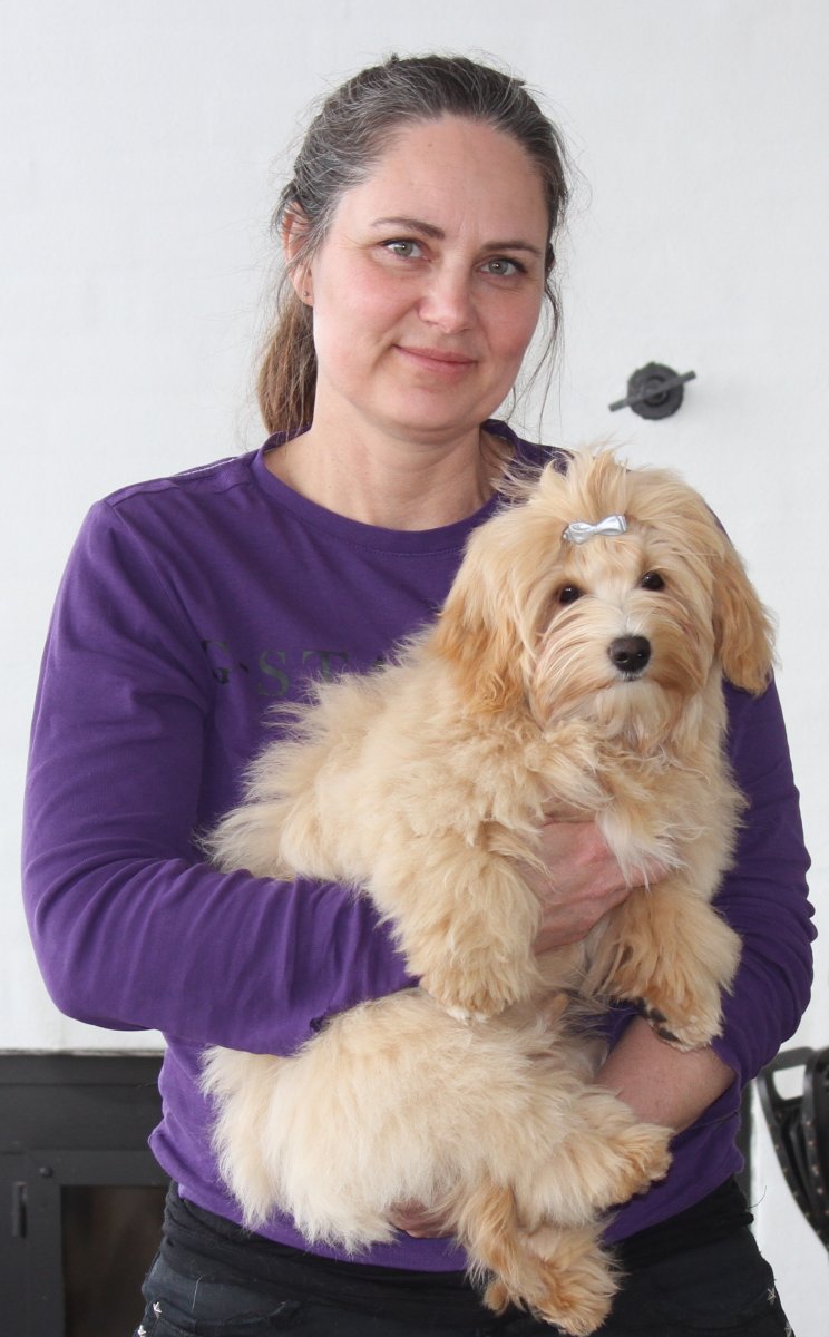 Casa Bichons Charlie Chaplin